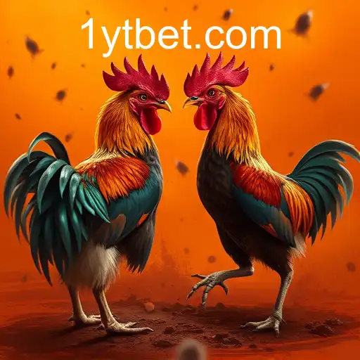 Exploring the World of Online Sabong and Ytbet